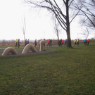 Dreik__nig LAUF am See 2012 _19__jpg-1325867618