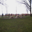 Dreik__nig LAUF am See 2012 _18__jpg-1325867613