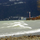 113_5566_JPG-1325889526