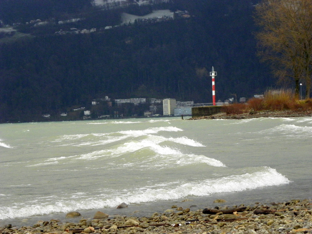 113_5566_JPG-1325889526