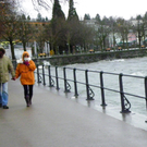 113_5496_JPG-1325889456