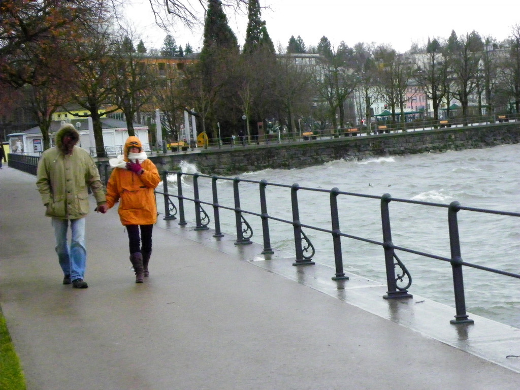 113_5496_JPG-1325889456