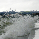 113_5507_JPG-1325889465