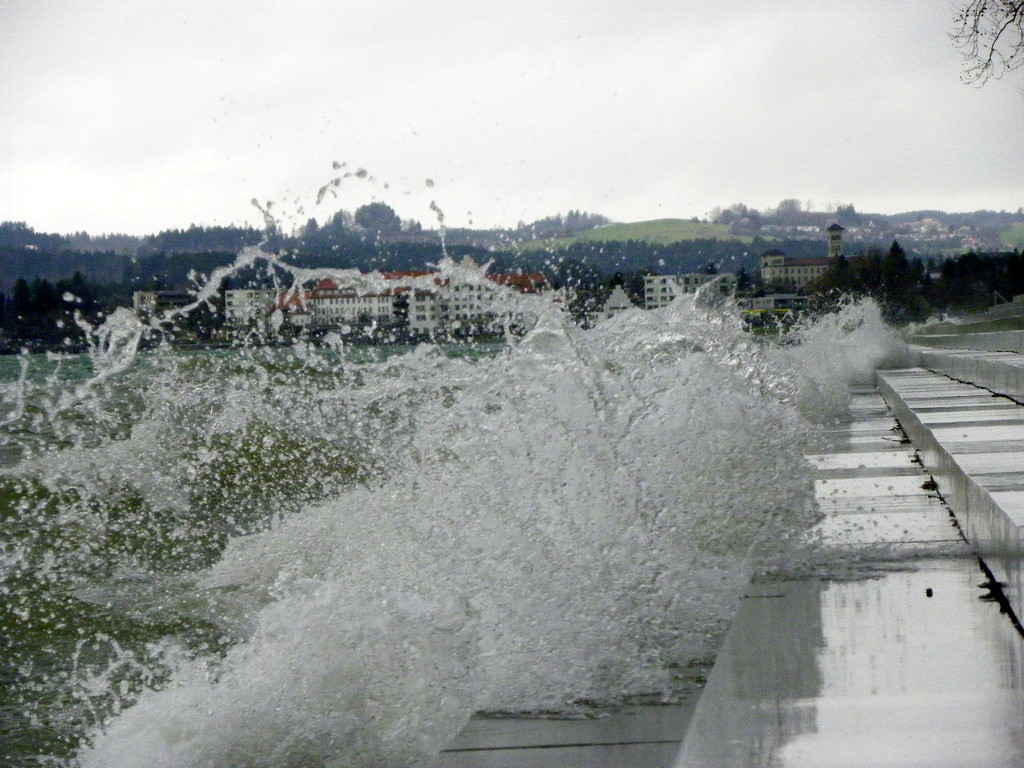 113_5507_JPG-1325889465