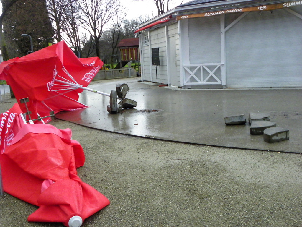 113_5538_JPG-1325889509