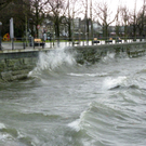 113_5532_JPG-1325889482