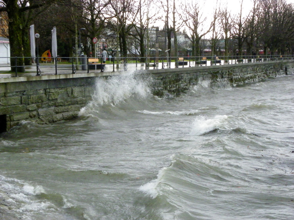 113_5532_JPG-1325889482