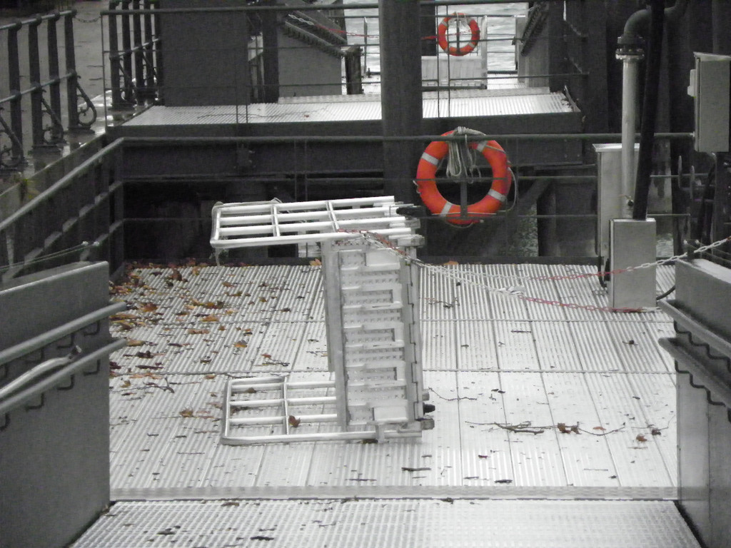 113_5513_JPG-1325889474