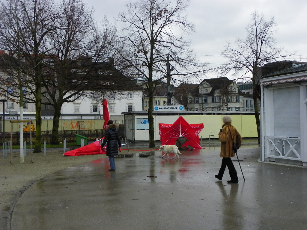 113_5535_JPG-1325889492