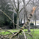 113_5571_JPG-1325889554