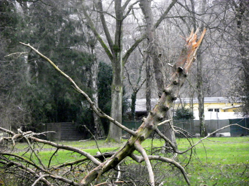 113_5571_JPG-1325889554