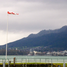 113_5562_JPG-1325889517