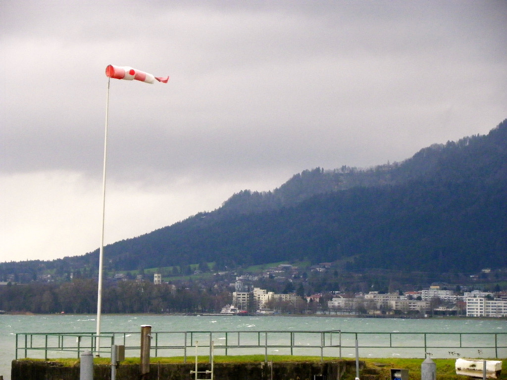 113_5562_JPG-1325889517