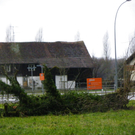 113_5577_JPG-1325889581