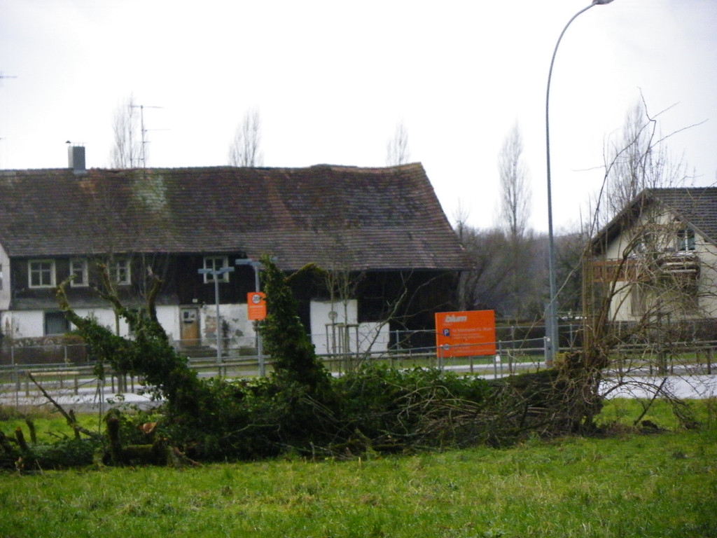 113_5577_JPG-1325889581