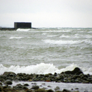 113_5567_JPG-1325889535