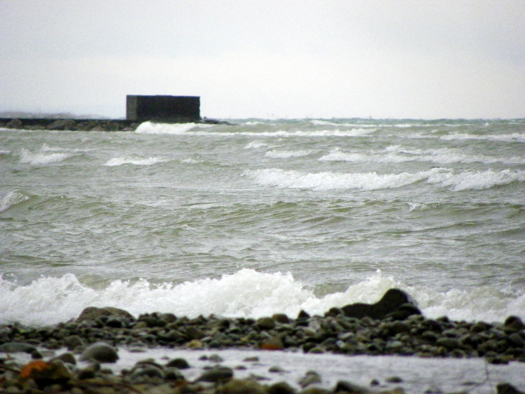 113_5567_JPG-1325889535