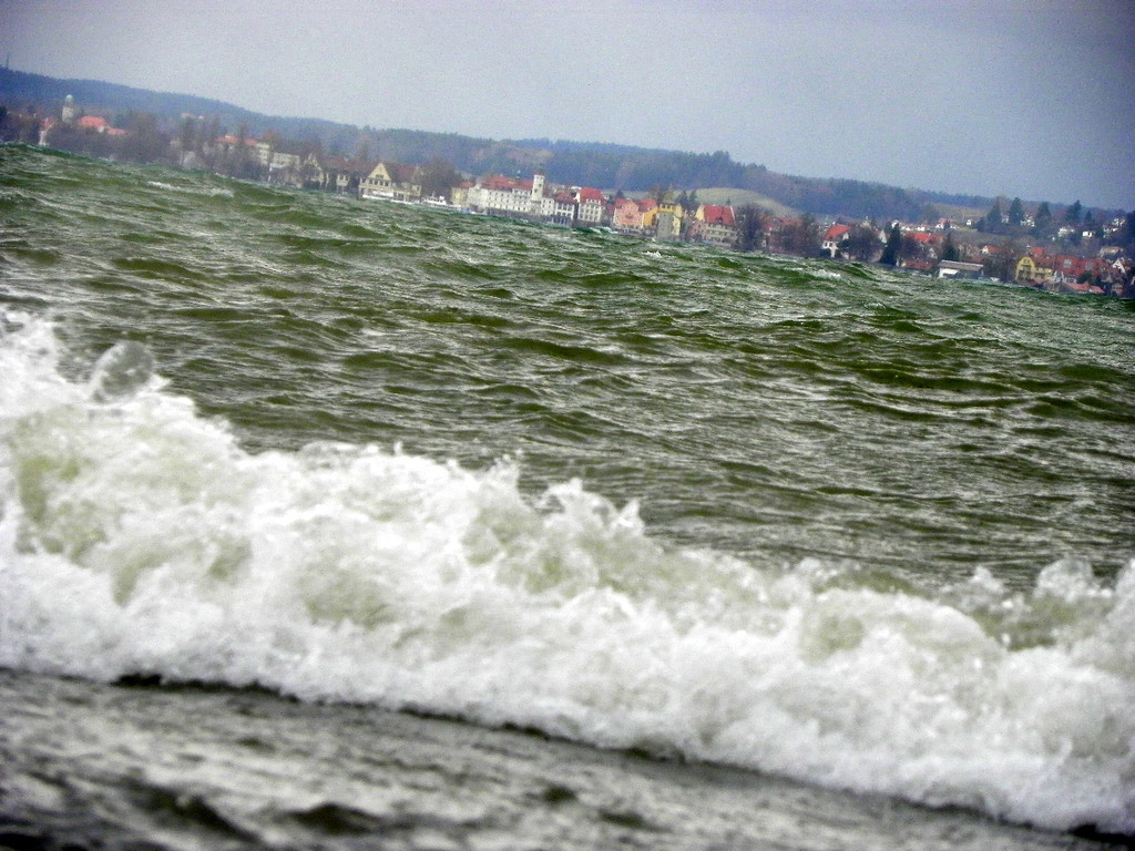 113_5570_JPG-1325889545