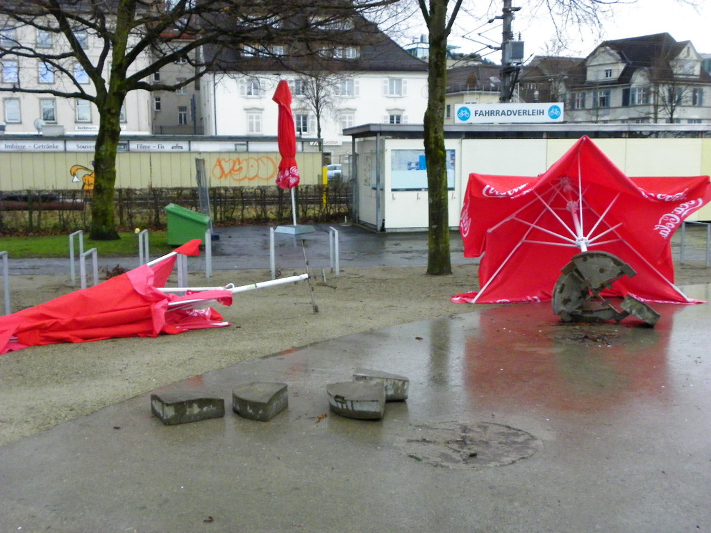 113_5537_JPG-1325889500