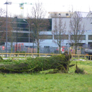 113_5573_JPG-1325889573