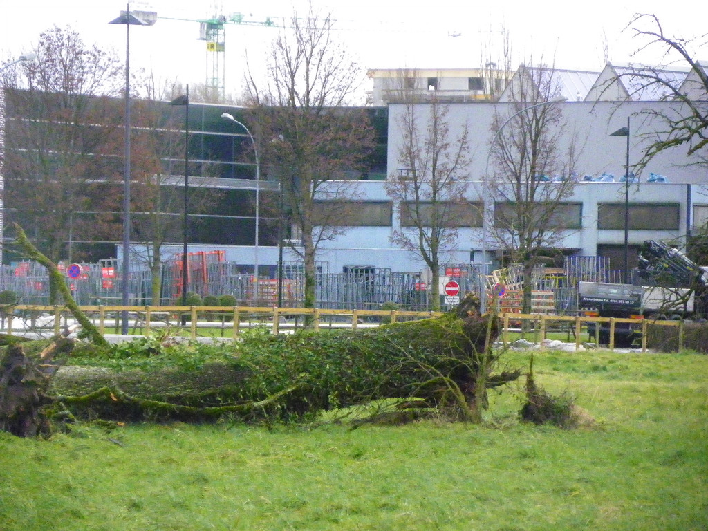 113_5573_JPG-1325889573