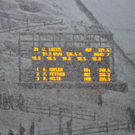 normal_06012012springenat04002aktivnews081.jpg