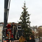 normal_06012012fmt_faschingsgilde_ta_022.jpg