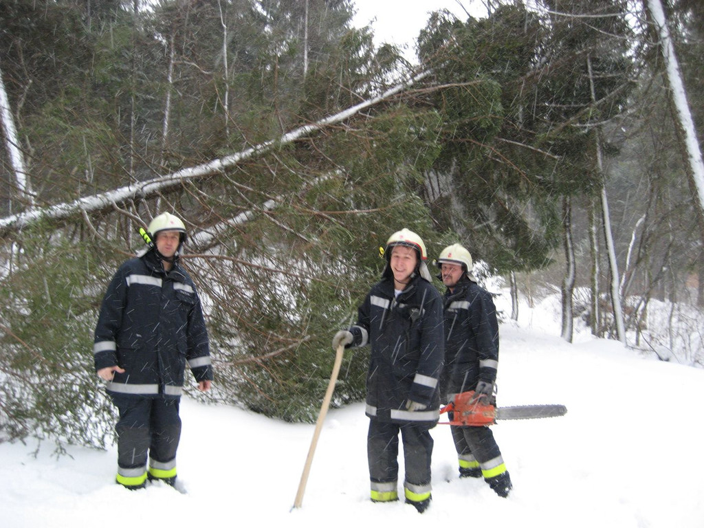 IMG_3712_JPG-1325931121