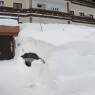070112schneeat04003aktivnews022.JPG