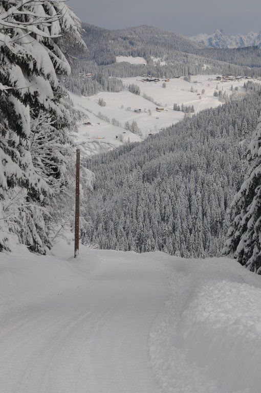 070112schneeat04003aktivnews033.JPG