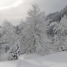 070112schneeat04003aktivnews035.JPG