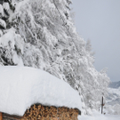 070112schneeat04003aktivnews034.JPG