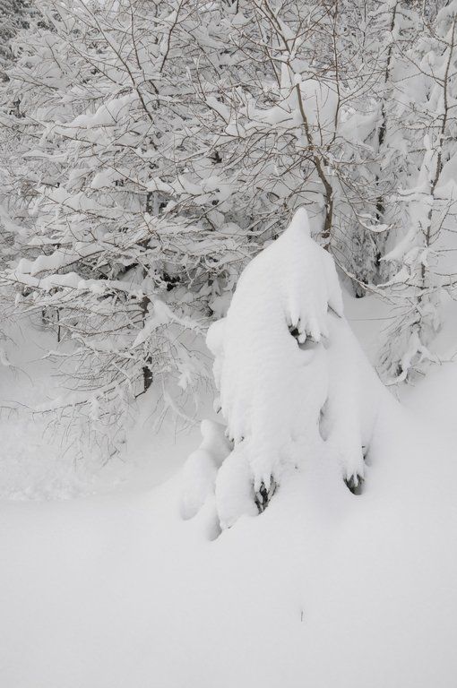 070112schneeat04003aktivnews032.JPG