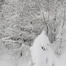 070112schneeat04003aktivnews032.JPG