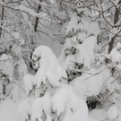 070112schneeat04003aktivnews031.JPG