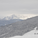 070112schneeat04003aktivnews019.JPG