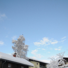 070112schneeat04003aktivnews005.JPG