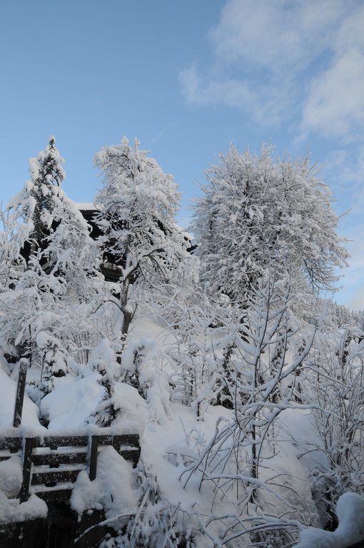 070112schneeat04003aktivnews007.JPG