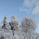 070112schneeat04003aktivnews007.JPG
