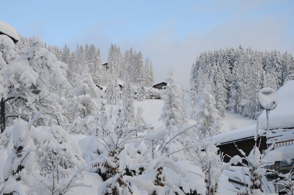 070112schneeat04003aktivnews002.JPG