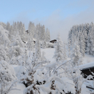 070112schneeat04003aktivnews002.JPG
