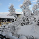 070112schneeat04003aktivnews003.JPG