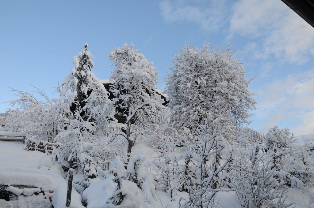 070112schneeat04003aktivnews008.JPG
