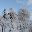 070112schneeat04003aktivnews008.JPG