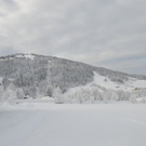 070112schneeat04003aktivnews015.JPG