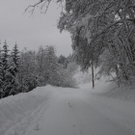 070112schneeat04003aktivnews017.JPG