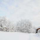 070112schneeat04003aktivnews013.JPG