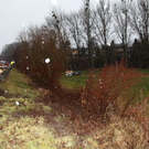 normal_07012012fmt_vuoberndorf_mw_15.jpg