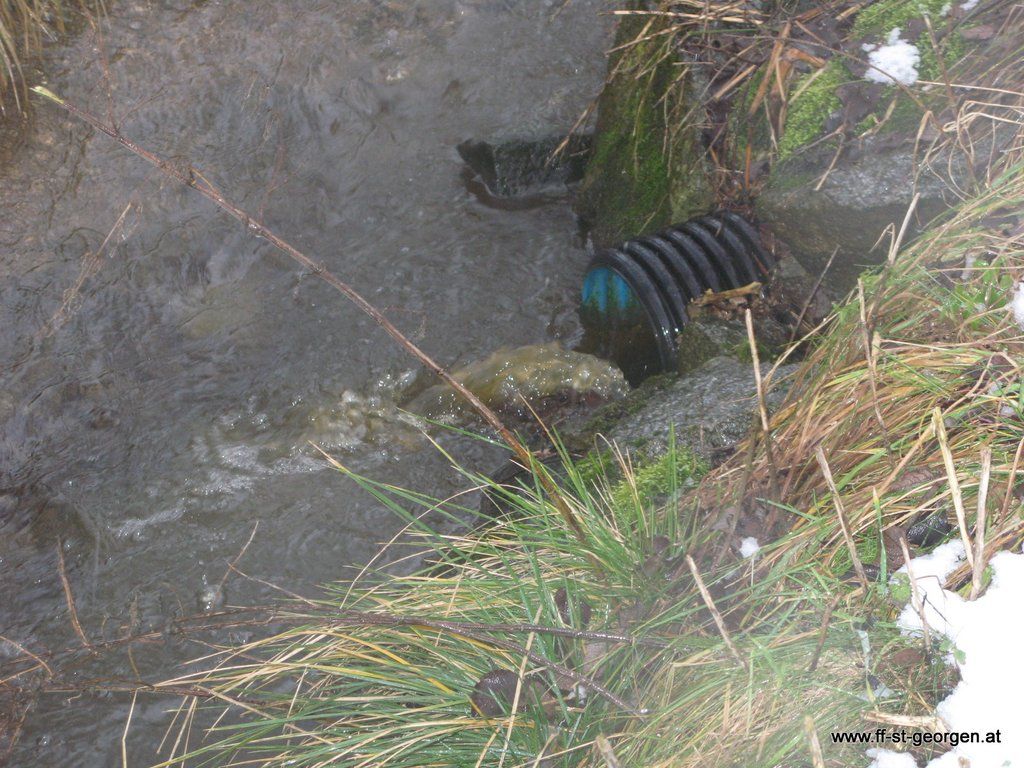 IMG_6060.JPG