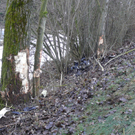 2512009vub20whaktivnews_06.jpg